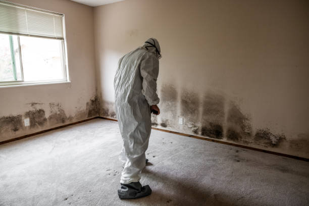 Water Damage Restoration in Newton, NJ