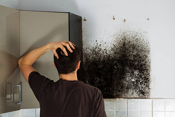 Best Mold Testing  in Newton, NJ